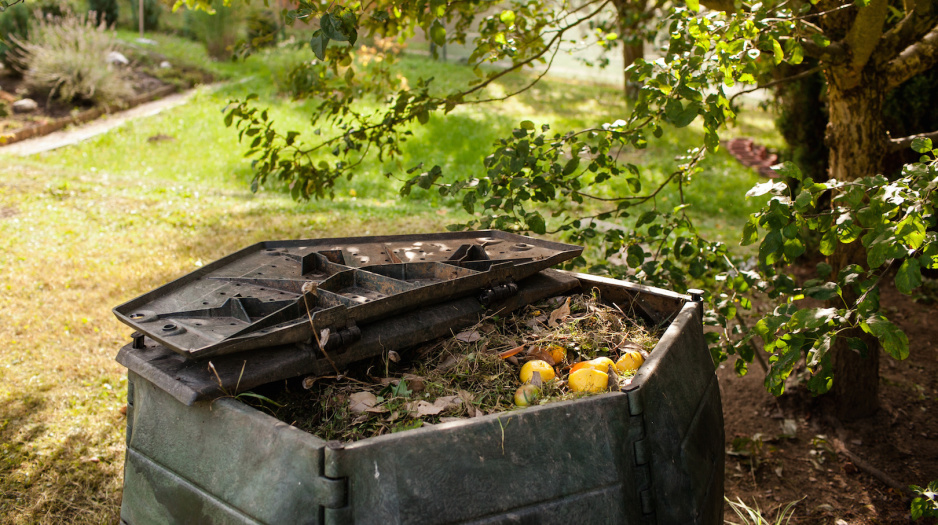 Łatwym sposobem na uzyskanie organicznego nawozu jest kompostownik, w którym rozkładają się odpady - resztki jedzenia czy ścięte rośliny. (zdj.: Adobe Stock)
