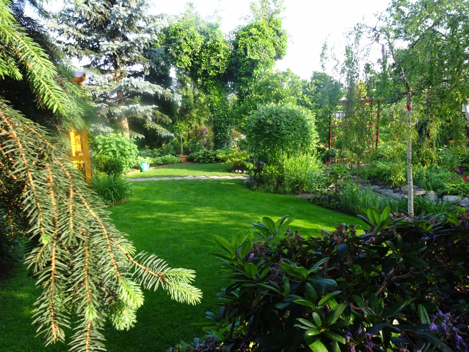 Ogród najpiękniej wygląda o poranku, słońce rzuca cienie i zieleń jest soczysta, świeża.