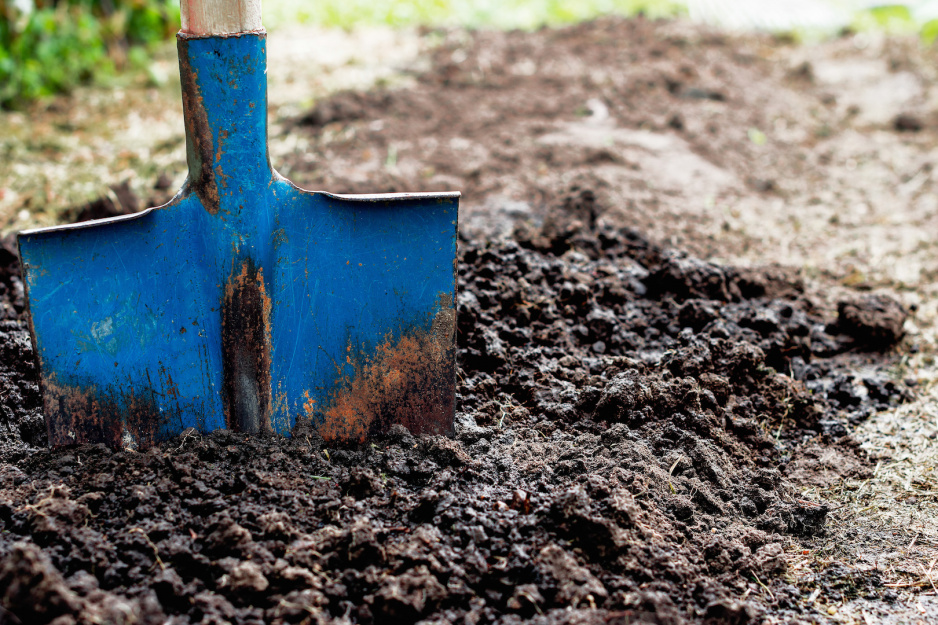 Przekopując glebę pod rabatę nie musimy być delikatni. Wbijając szpadel nawet na głębokość 30 centymetrów mamy gwarancję, że odpowiednio mocno wymieszamy glebę. (zdj.: Adobe Stock)