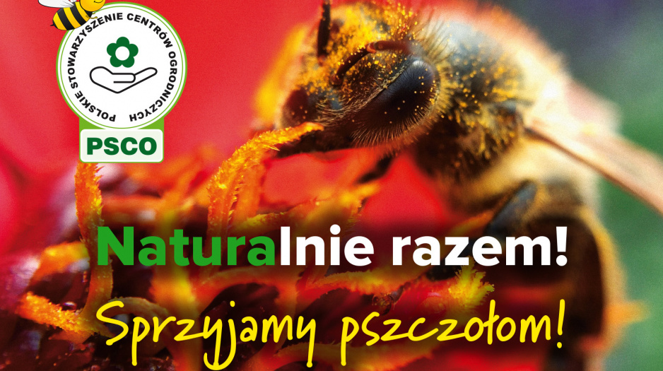 Czy wiecie, że na świecie istnieje ponad 20 000 gatunków pszczół, w Polsce około 470 gatunków?
