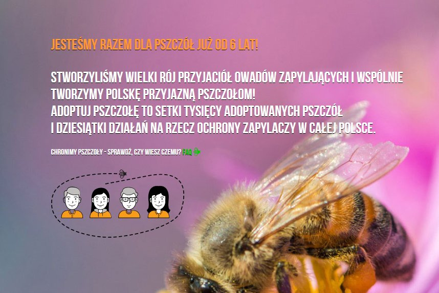 adoptuj pszczołę