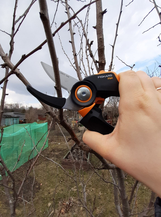 Wiosenne cięcie drzew owocowych - test redakcyjny Fiskars