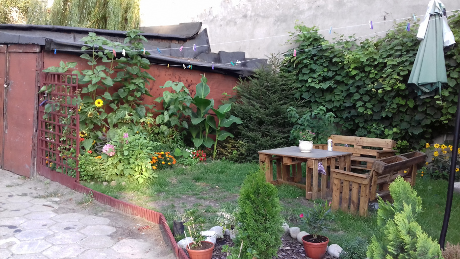 nasz ogródek w lipcu :-)