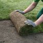 Rozwijanie pasów darni.
Podłoże pod trawnik należy starannie przygotować i wyrównać. Gładka powierzchnia znacznie ułatwia pracę przy układaniu i dopasowywaniu kawałków darni.
