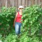 Ekologiczny ogródek warzywny-fasola