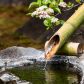 Ciek wodny zaaranżowany może być w różnych stylach - na zdjęciach ogród azjatycki z bambusowymi ciekami (zdj.: Fotolia.com)