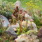 Dobrze skomponowany ogród skalny może cieszyć oczy wyjątkowymi widokami (zdj.: Fotolia.com)