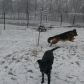 Nikita i Borys -radość na śniegu