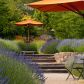 Obsadzenie lawendą miejsca wypoczynkowe w ogrodzie pozytywnie wpłynie na relaks (zdj.: Fotolia.com)