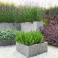 Żwir nie jest domeną wyłącznie ogrodów japońskich. Świetnie pasuje również do nowoczesnych ogrodów, dzieląc przestrzeń z donicami z betonu artystycznego oraz trawami ozdobnymi. (zdj.: Adobe Stock)