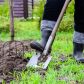 W walce ze szkodnikami glebowymi pomaga częste spulchnianie gleby, szczególnie wczesną wiosną. (zdj.: Adobe Stock)