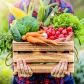 Choroby i szkodniki warzyw i owoców