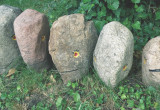 Ogrodu pilnują kamienne głowy zrobione z dużych kamieni i pomalowane mrozoodpornymi farbami