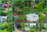 Na zdjęciach widać roślinność ogrodu. Możmy tutaj znaleźć różne rodzaje i odmiany roślinek. 