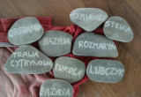 Tabliczki z kamienia z nazwami ziół