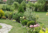 Wielobarwna kompozycja z roślin iglastych i liściastych, kwitnących i ozdobnych z liści wzdłuż ścieżki prowadzącej do domku gospodarczego.