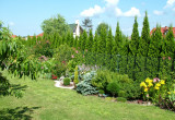 Druga strona ogrodu, rabata z iglakami liliami, floksami, jeżówkami  i innymi kwitnącymi
