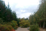 Jesienny widok z tarasu.
