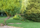 Ogólny widok na ogród od strony domu.