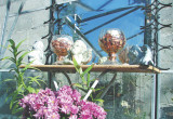 Szklarnia jest dodatkowo udekorowana wiszącymi dzwonkami, figurkami i kielichami wypełnionymi ususzonymi kwiatami.
