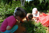Dzieciaki znalazły coś ciekawego i godnego uwagi,pewnie mrówka albo ślimak :)
