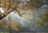 Jesienny krajobraz w parku ogródków działkowych.