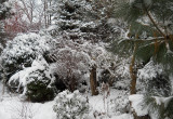 Piękno zimowego ogrodu
