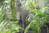 palmiarnia gliwice