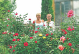 Agnieszka Huber z mamą Anną wśród kolorowych róż. 