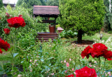 studnia wraz z różaną częścią ogrodu