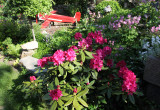 rododendron i samolot z drewna też wykonany przez męża dla synka