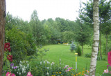Widok na ogród przydomowy