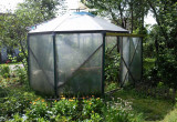Namiot foliowy do uprawy pomidorów w formie ośmioboku foremnego.