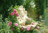 Fontanna opleciona angielską różą