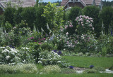 Róże rosną w całym ogrodzie - najokazalsze są odmiany pnące, prowadzone na kutych podporach w różnych kształtach
