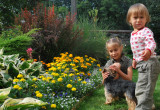 Moje córeczki cieszą się pięknymi kwiatami i zabawą z ulubionym pieskiem Bazylkiem.