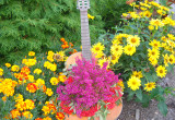 Gitara z kwiatami.