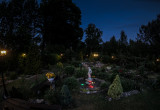 ogród nocą