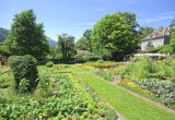 Warzywa to nie tylko źródło pożywienia, ale również doskonały element upiększający ogród - pamiętając o tym przy planowaniu przestrzeni, można osiągnąć niebagatelny efekt (zdj.: Fotolia.com)