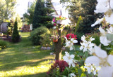 Białczański ogród Małgorzaty