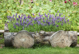 Wykorzystanie drewnianych donic może wzbogacić wiejscy wygląd ogrodu (zdj.: Fotolia.com)