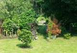 Fragment ogrodu za domem w czerwcu
Na zdjęciu widoczny jest fragment grządki obsadzonej papryką czerwoną, fioletową, chili cayenne oraz ostrą 'Koral', a także fragment jeżyny bezkolcowej, jabłoń karłowa, grusza azjatycka 'Hosui'. Ozdoby ogrodu dopełnia d