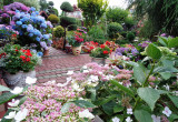 Jak co roku hortensjowy ogród wita gości :)