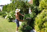 Bo o ogród trzeba dbać! Dziadek Janek Nożycoręki :)

Dziadek zawsze starannie pielęgnuje ogród, dba o terminowe podcinanie, odpowiednie nawadnianie i nawożenie roślin.