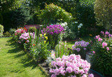 Fotografia przedstawiająca alejkę ogrodową, która jest zmienna w zależności od pory roku.
