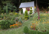 Widok na ogród w kolorach lata