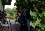 Tutaj są! Wszyscy są w ulubionej „altanie”, gotowi do jesiennych prac w ogrodzie! :)