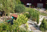 Ogród żwirowy z oczkiem wodnym