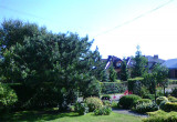 Widok ogrodu przed domem z moją ulubioną sosną górską