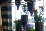 ekologia na balkonie kwiatki w butelkach plastikowych